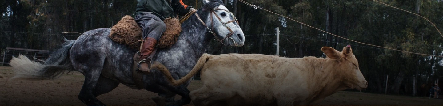 Seja bem vindo a Laço360°