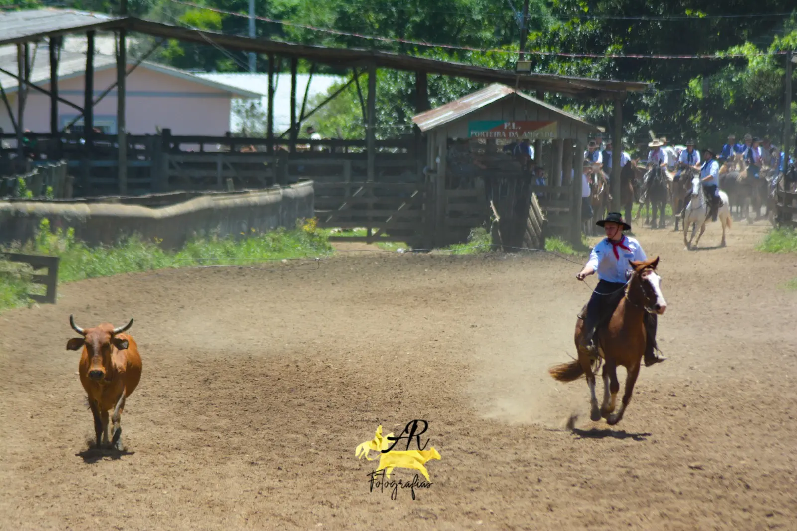 Foto de perfil de Gabriel lima