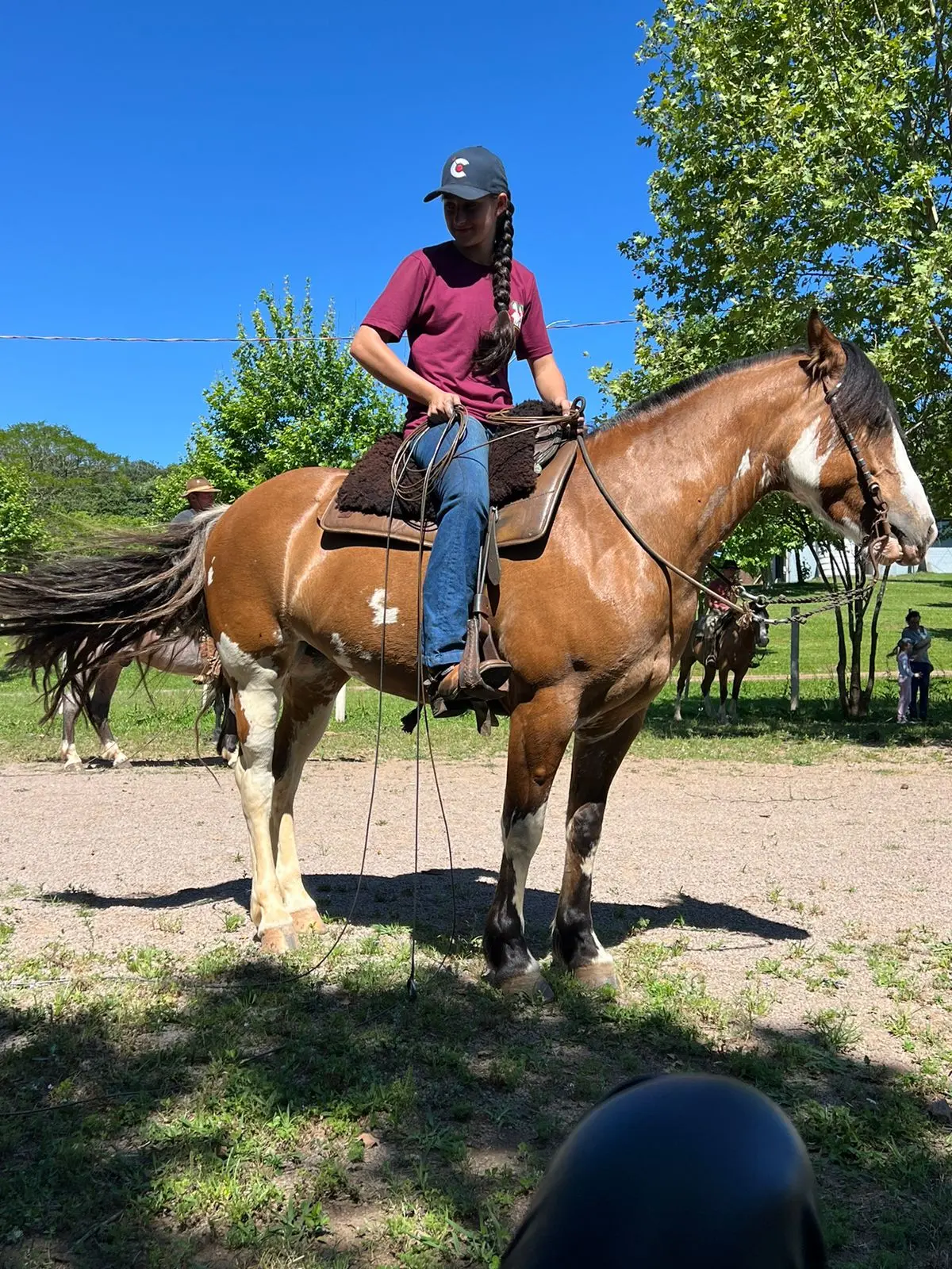 Foto de perfil de Ana Júlia Mior