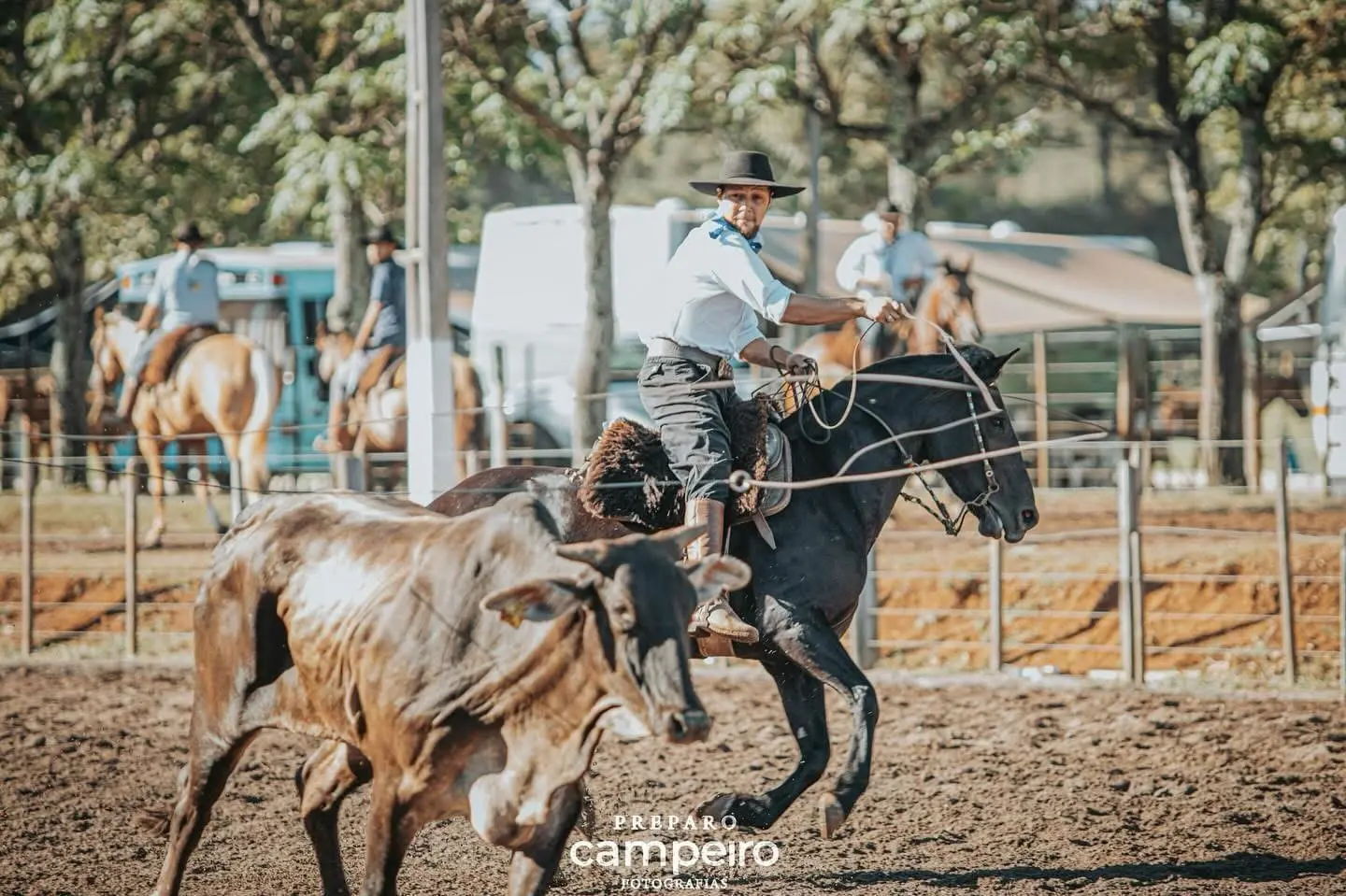 Foto de perfil de Bruno Pimentel Paganin