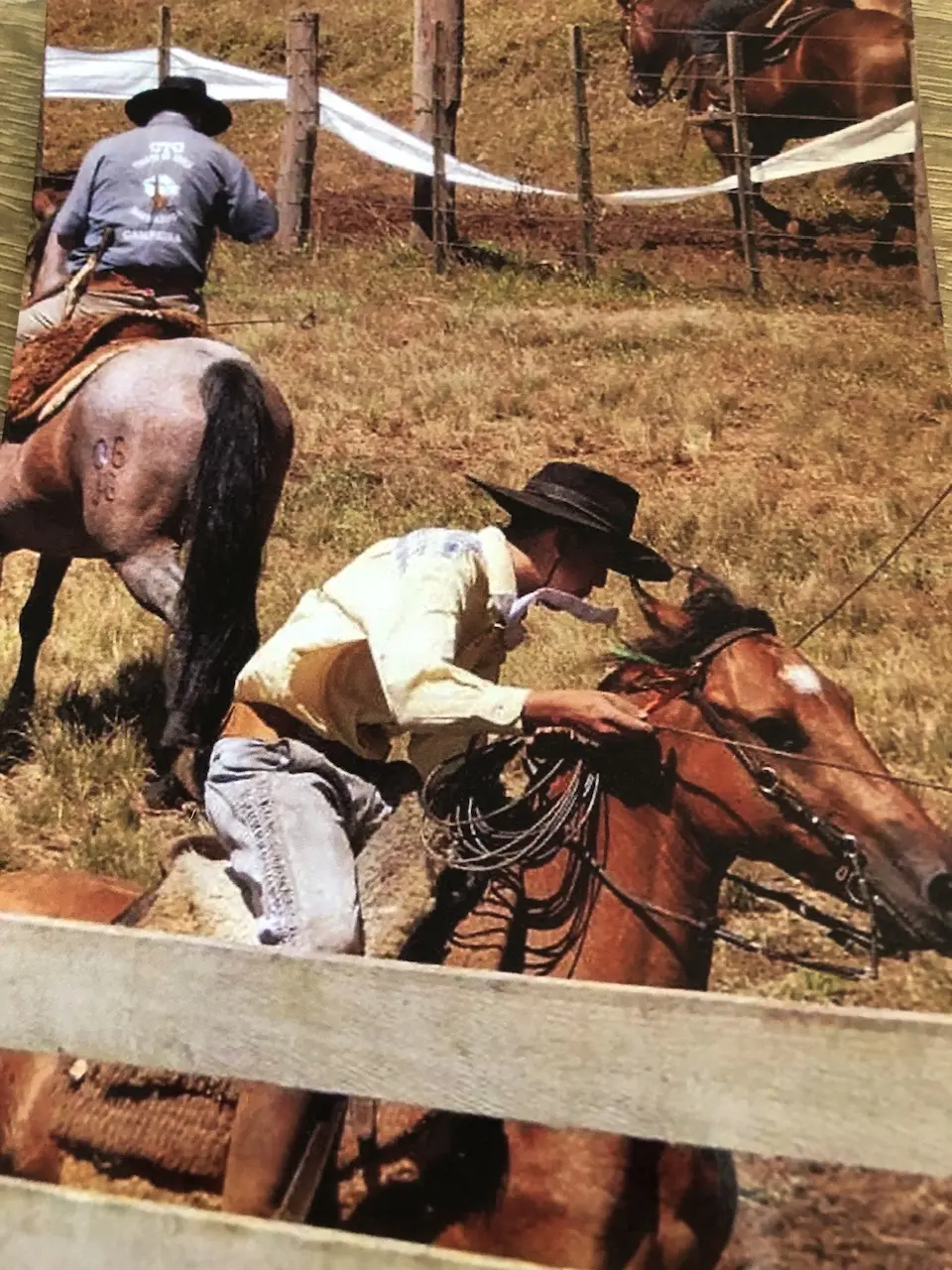 Foto de perfil de Erick Bernado da Silva de Oliveira