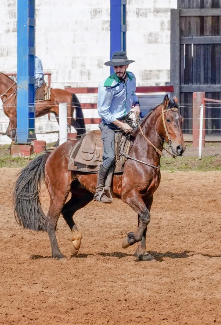 Foto de perfil de Gilmar de Jesus