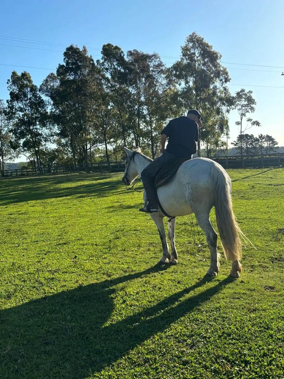Foto de perfil de Davi Terra Silva Dutra