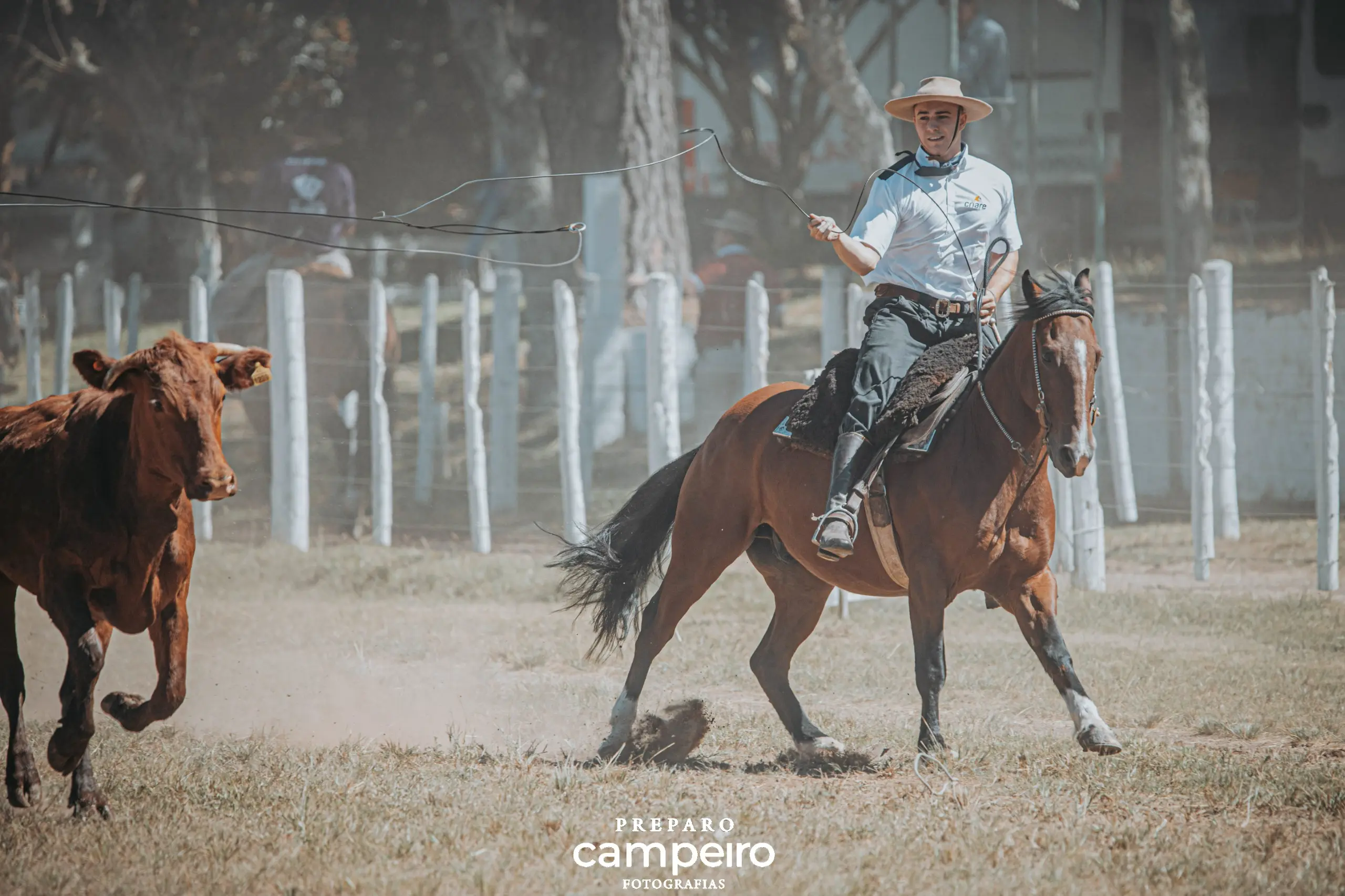 Foto de perfil de Gabriel Parise