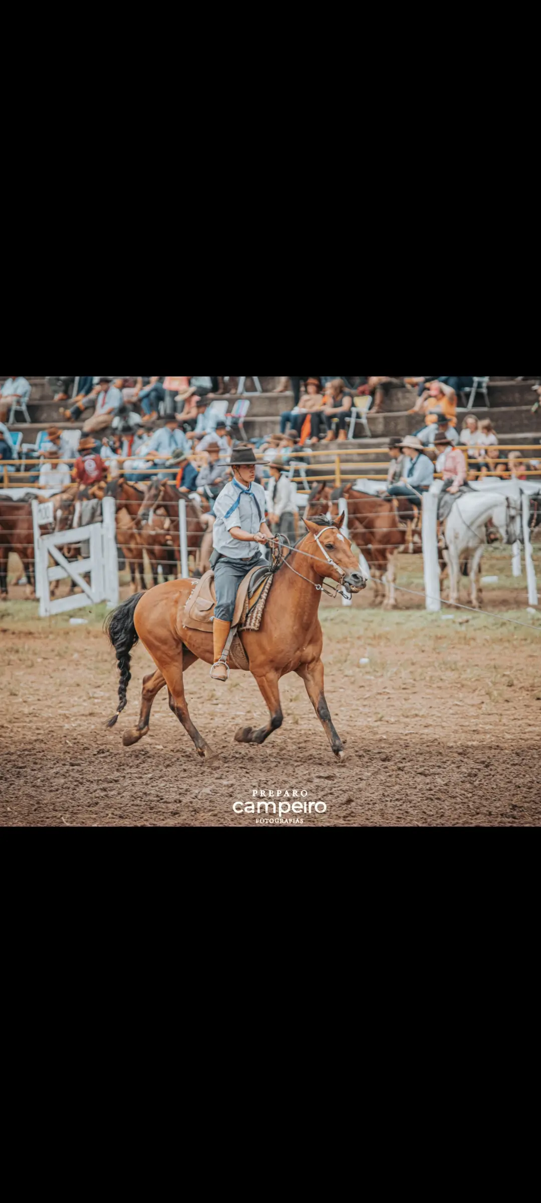 Foto de perfil de João Vitor Bertamoni