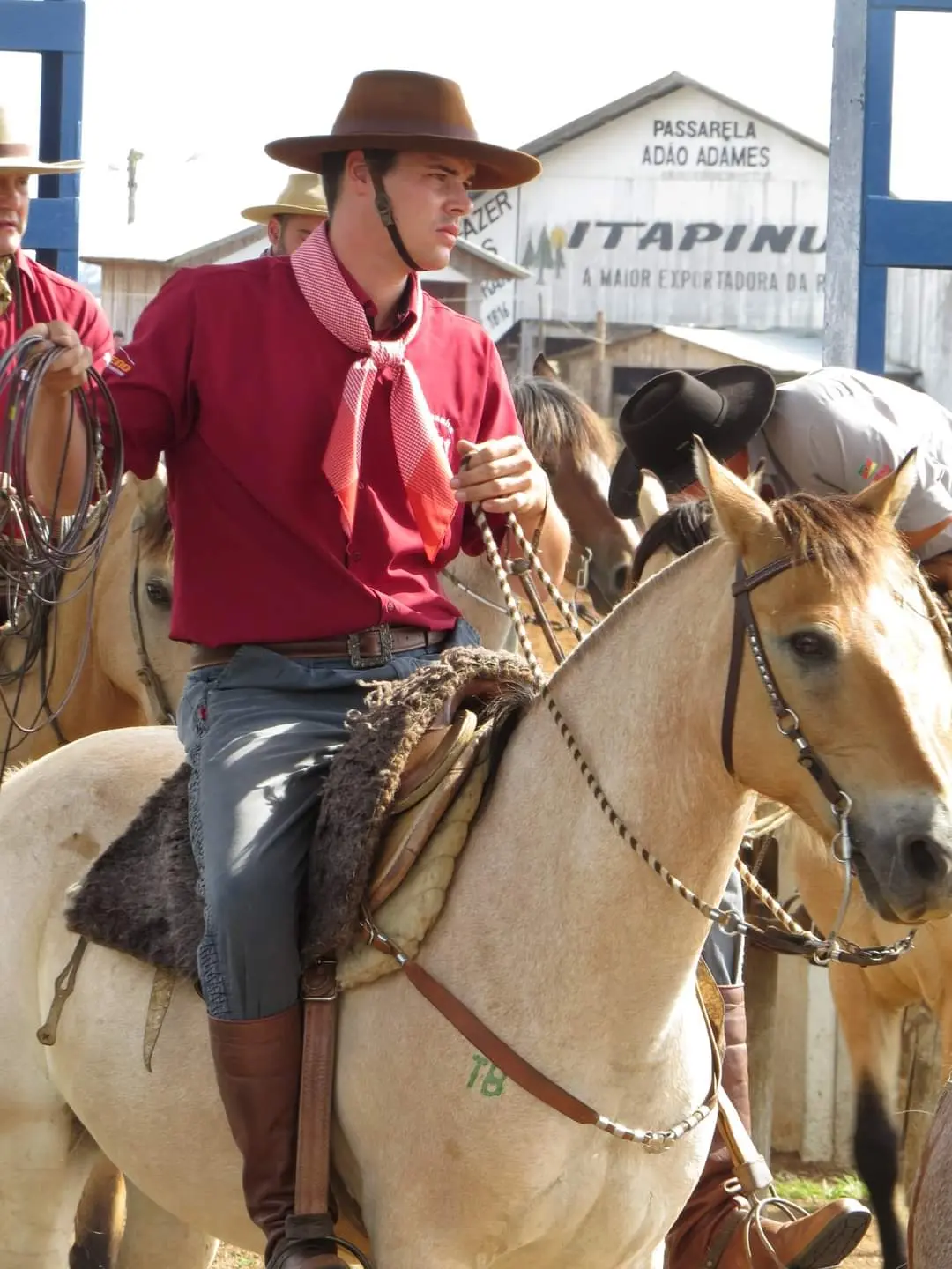 Foto de perfil de Darlon Fiaminghi