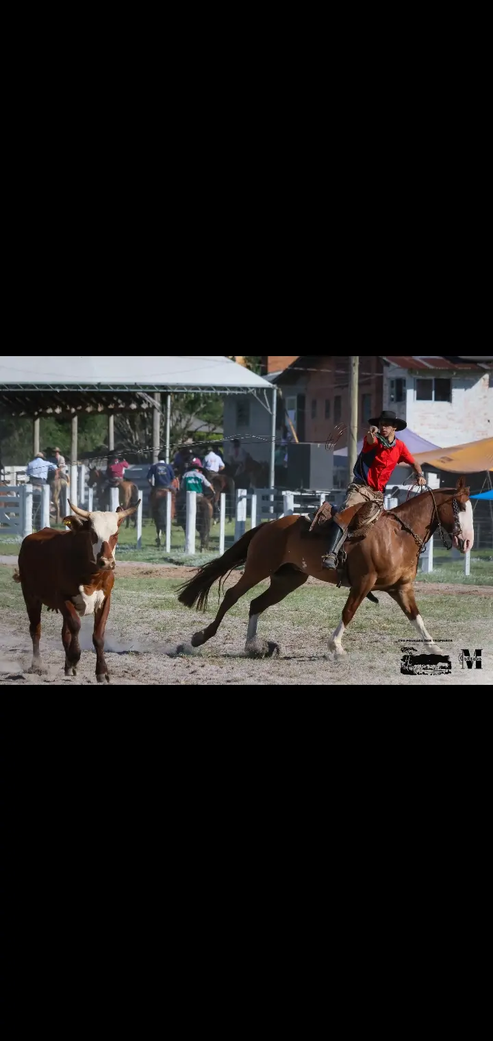 Foto de perfil de EDUARDO FERNANDES