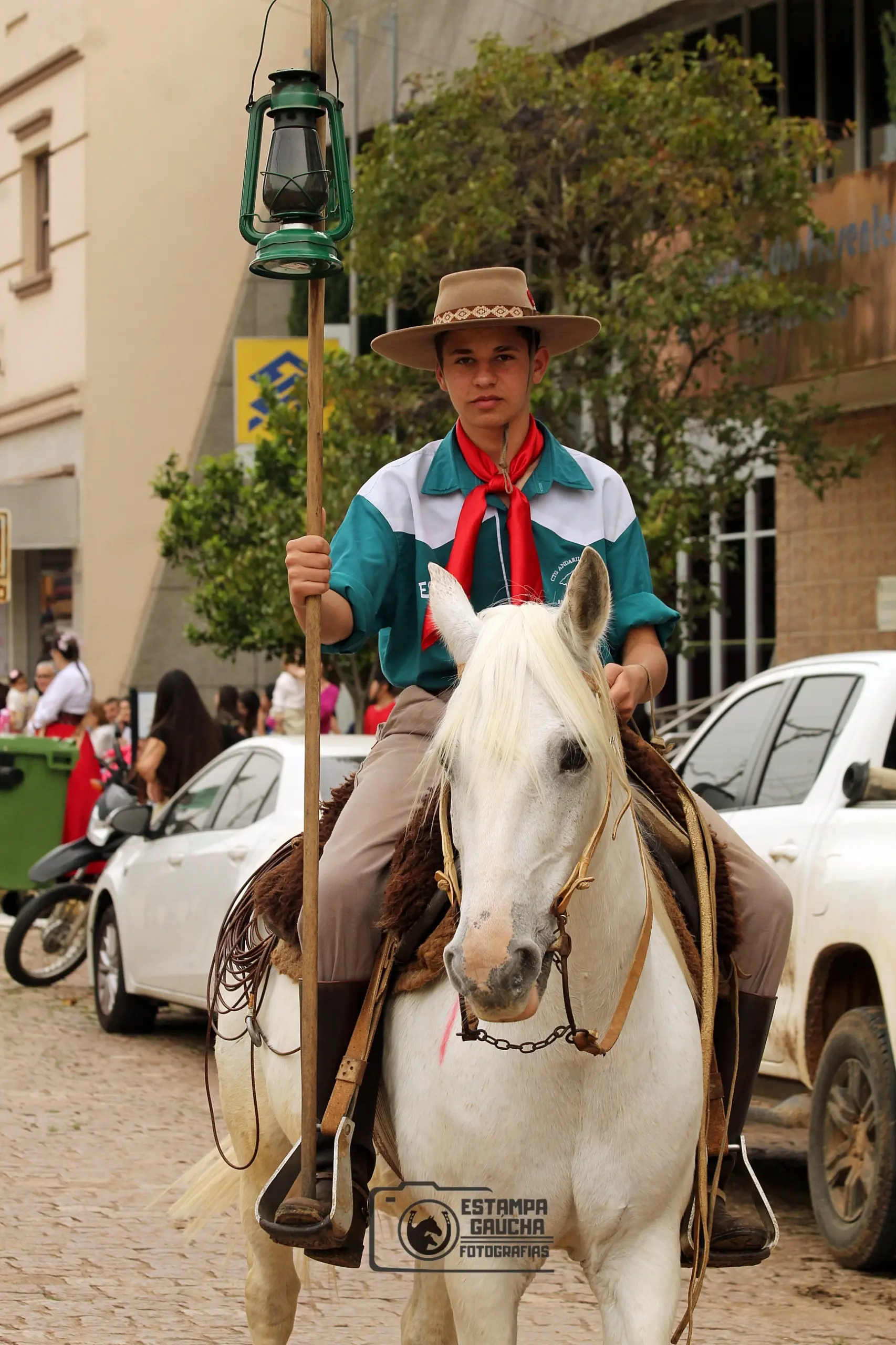Foto de perfil de Pedro Alves