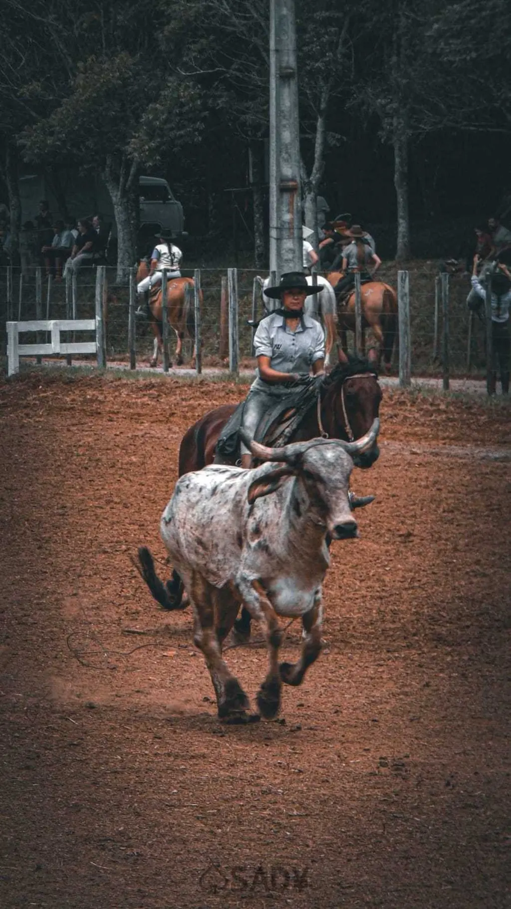 Foto de perfil de Andressa Ferreira von miihlen