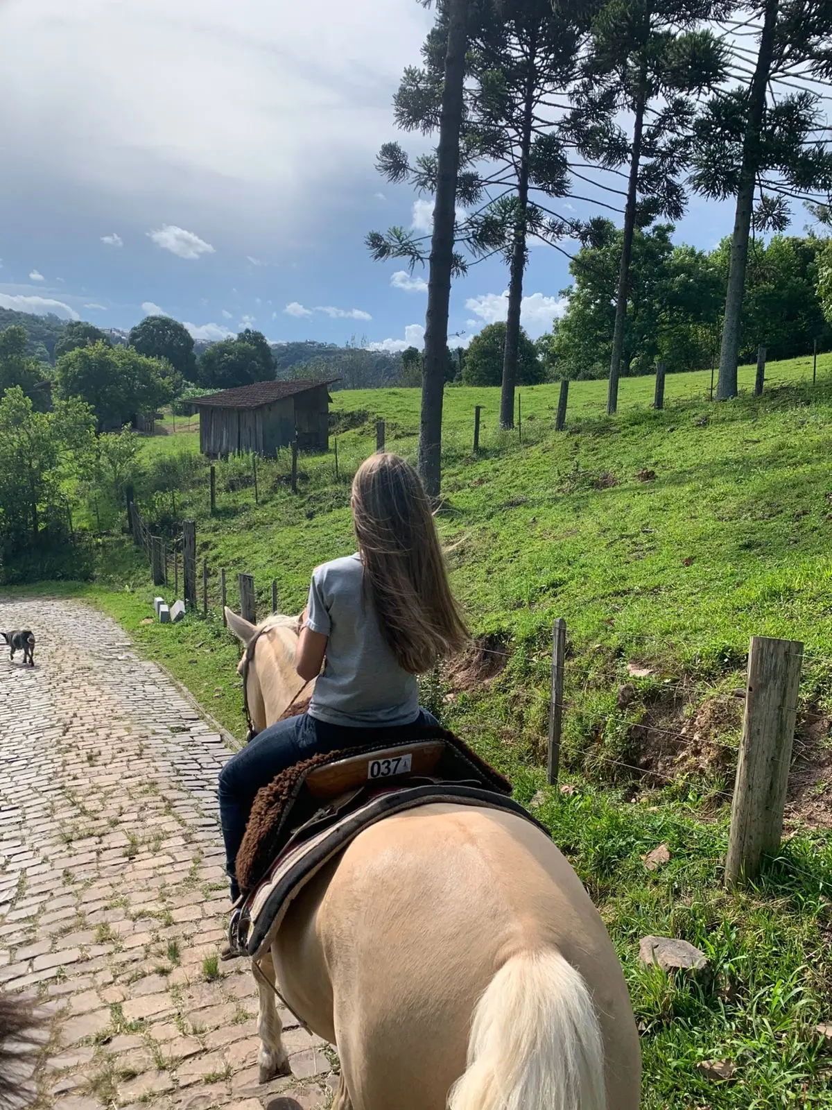 Foto de perfil de Camila Orso