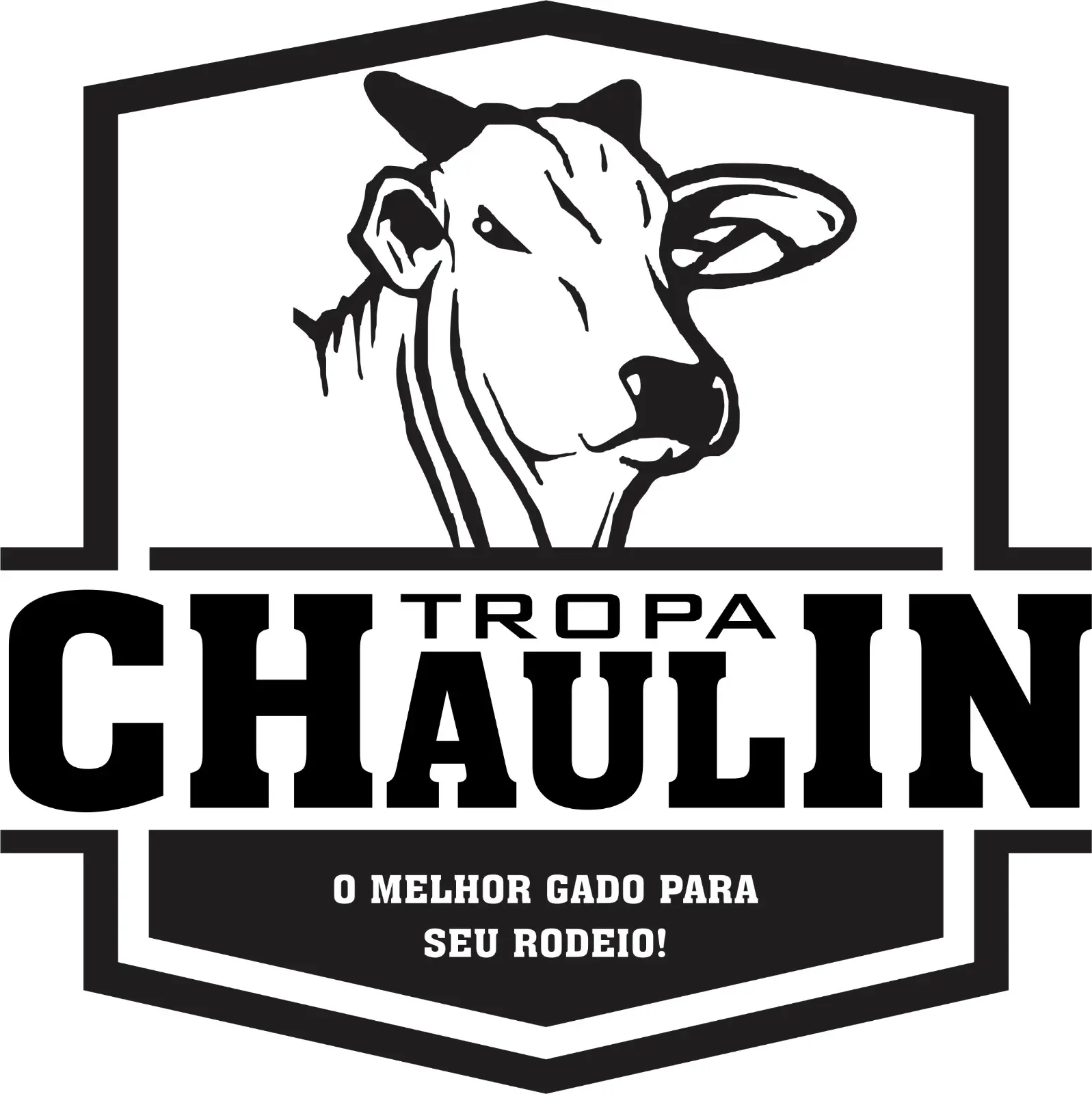 Foto de perfil de Eduardo Migliorin Machado