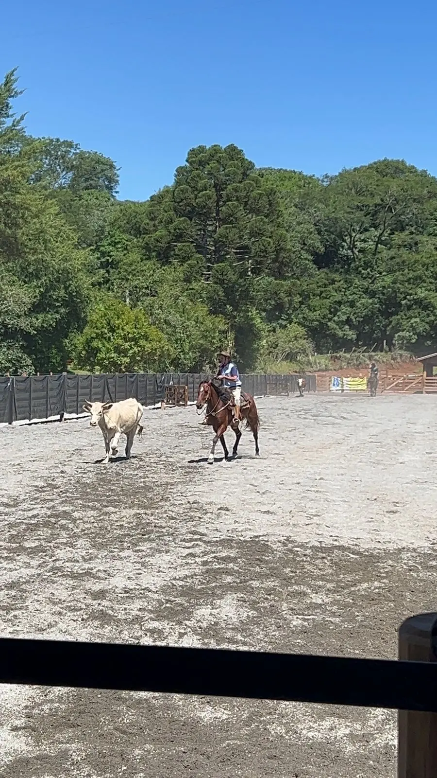 Foto de perfil de Gabriel Lasta