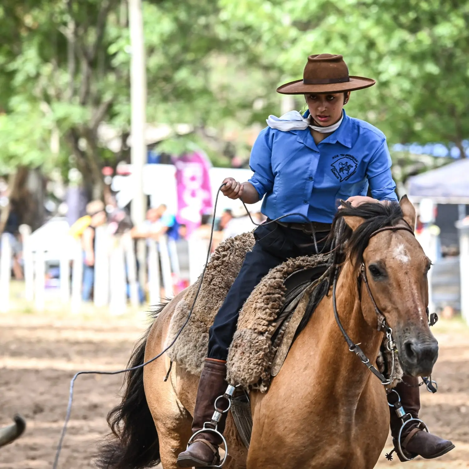 Foto de perfil de Grazi Silveira