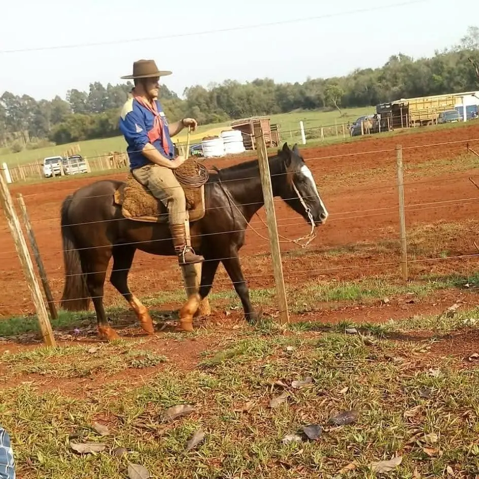 Foto de perfil de Tiago Trindade