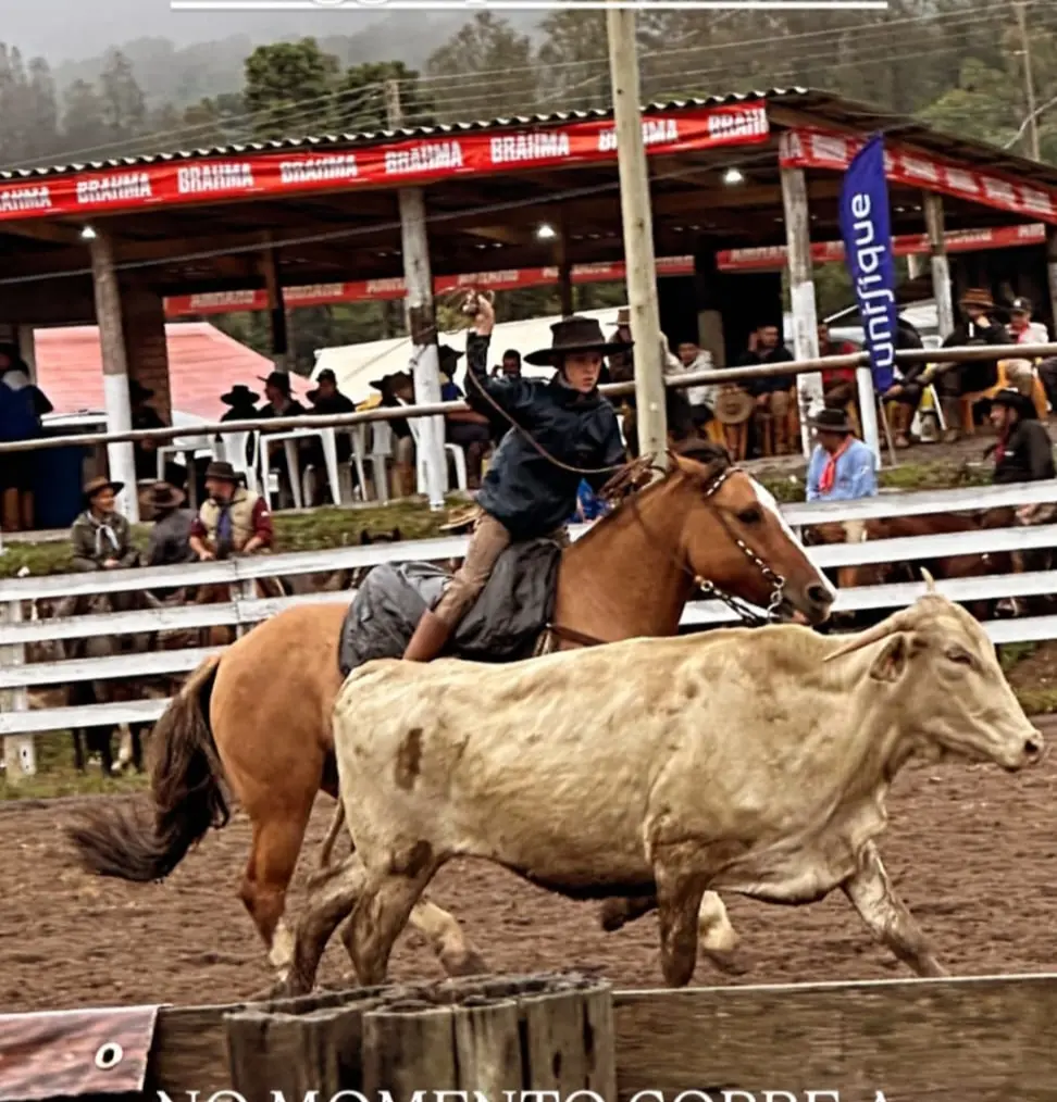 Foto de perfil de Lauro Borges