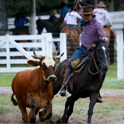 Foto de perfil de Leonardo Chinelatto