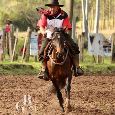 Foto de perfil de Mauricio dos_passos