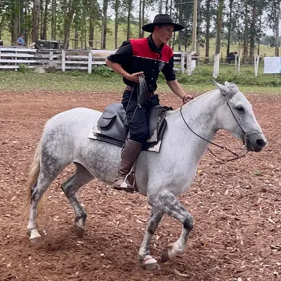Foto de perfil de Arthur bampi