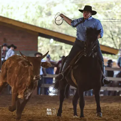 Foto de perfil de Valéria Freitas
