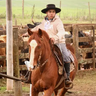 Foto de perfil de Bernardo Andrade da Rosa