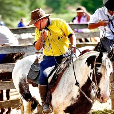 Foto de perfil de Ricardo reis