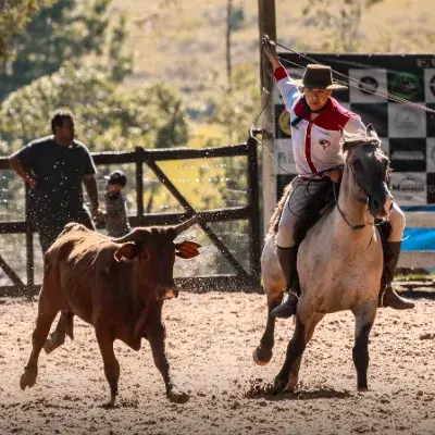 Foto de perfil de Pedro Henrique Nunes Varela