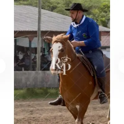 Foto de perfil de Junior Andreis