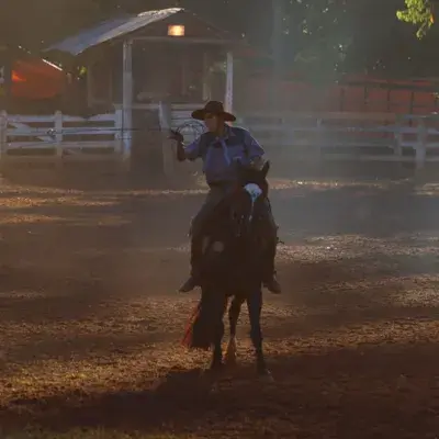 Foto de perfil de Gustavo bolson