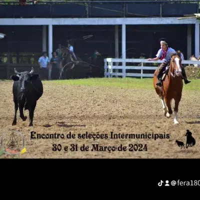 Foto de perfil de LEONEL FERREIRA DE LIMA