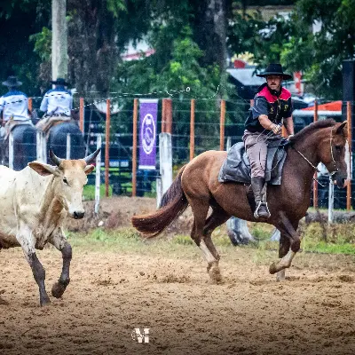 Foto de perfil de Wagner Filho