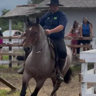 Foto de perfil de Gabriel Colombo