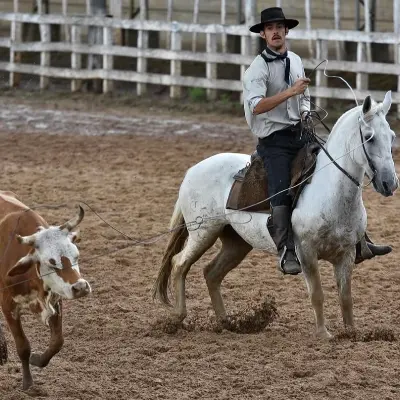 Foto de perfil de Pedro Neto