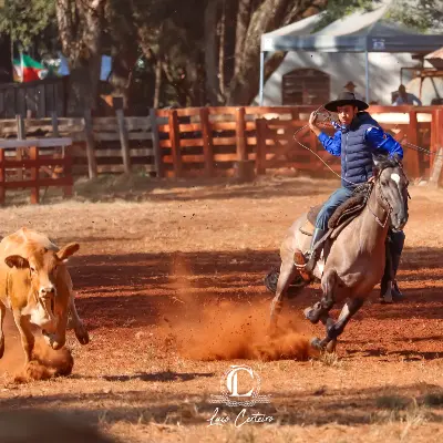 Foto de perfil de Christopher Oliveira