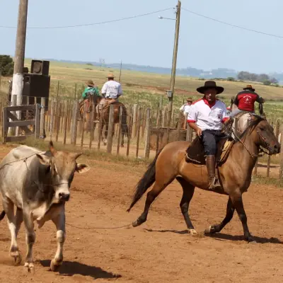 Foto de perfil de Luiz Paulo Ramos