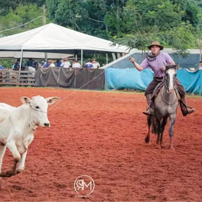 Foto de perfil de Alesson Mateus Vorpagel