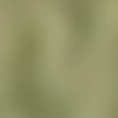 Foto de perfil de RODRIGO DA SILVA ROSA