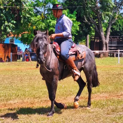 Foto de perfil de Lucas Dornelles Ferreira