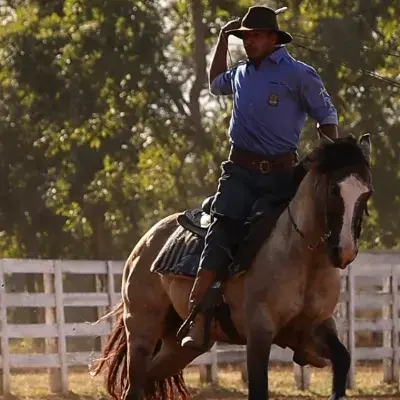 Foto de perfil de Stevan Eduardo da Silva reis