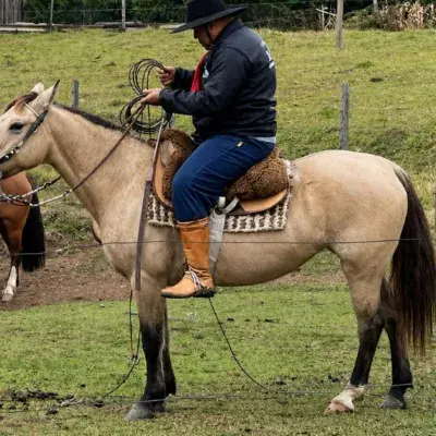 Foto de perfil de RICARDO SEBASTIÃO PEREIRA DOS SANTOS