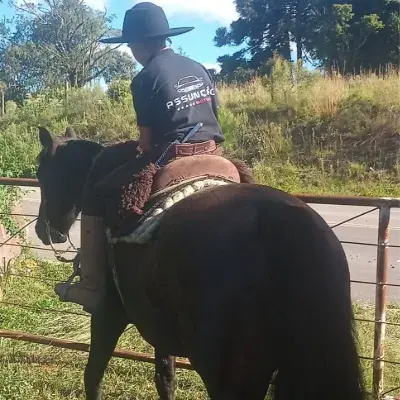 Foto de perfil de Gustavo Piccoli
