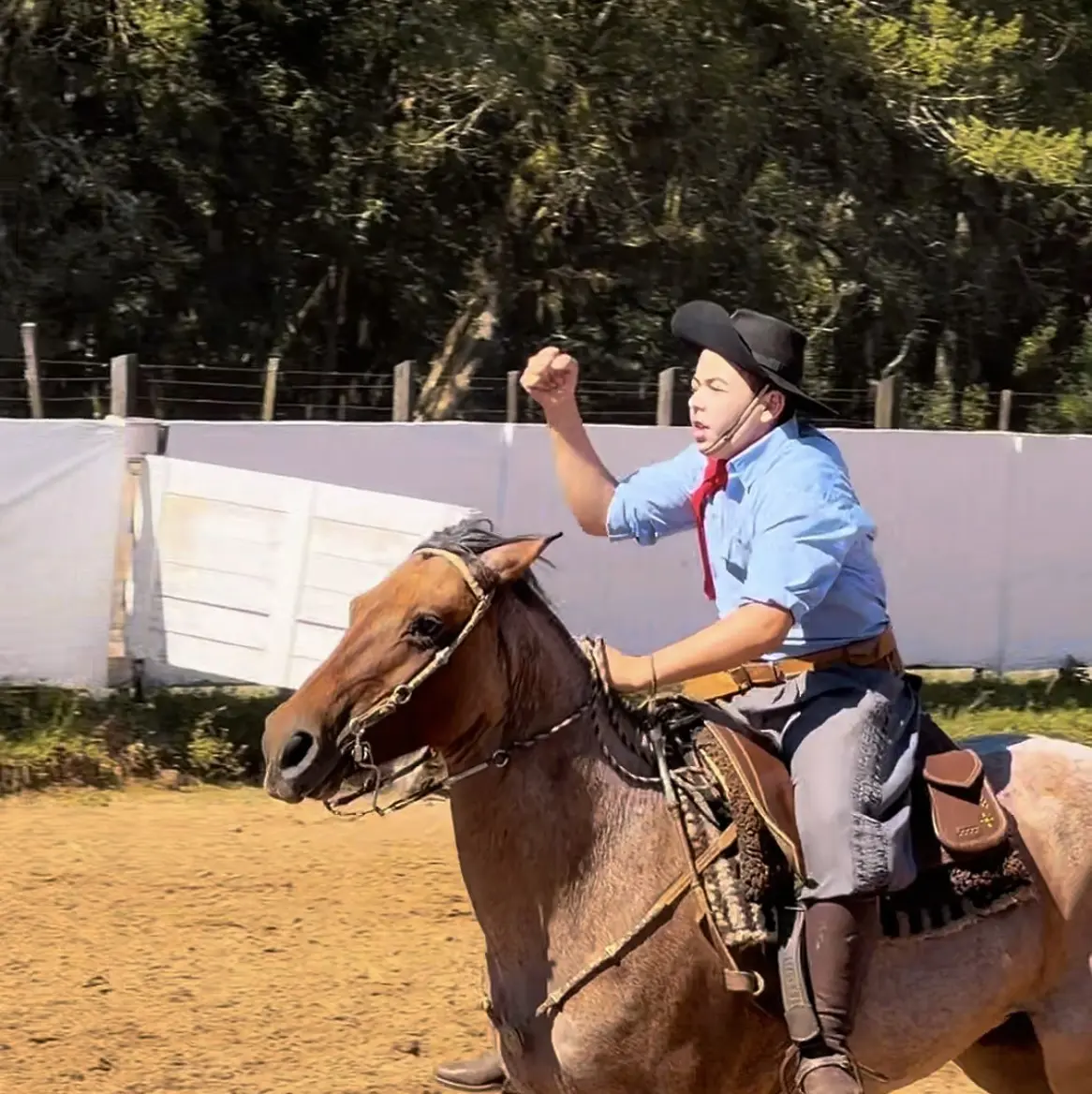 Foto de perfil de Joaquim Jardim