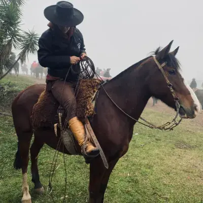 Indianara bonetto