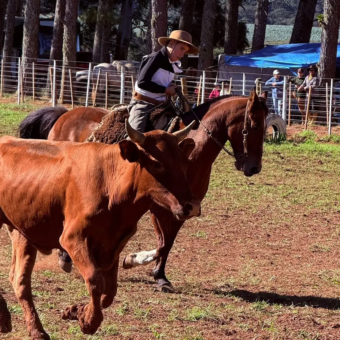 Foto de perfil de Danilo Lima Bortolaci