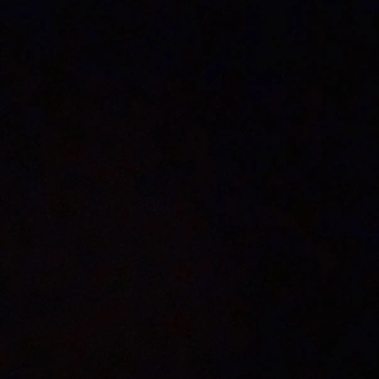 Foto de perfil de Nadieva Manuela Zamboni