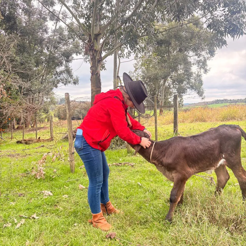 Foto de perfil de Antonella Cerezer