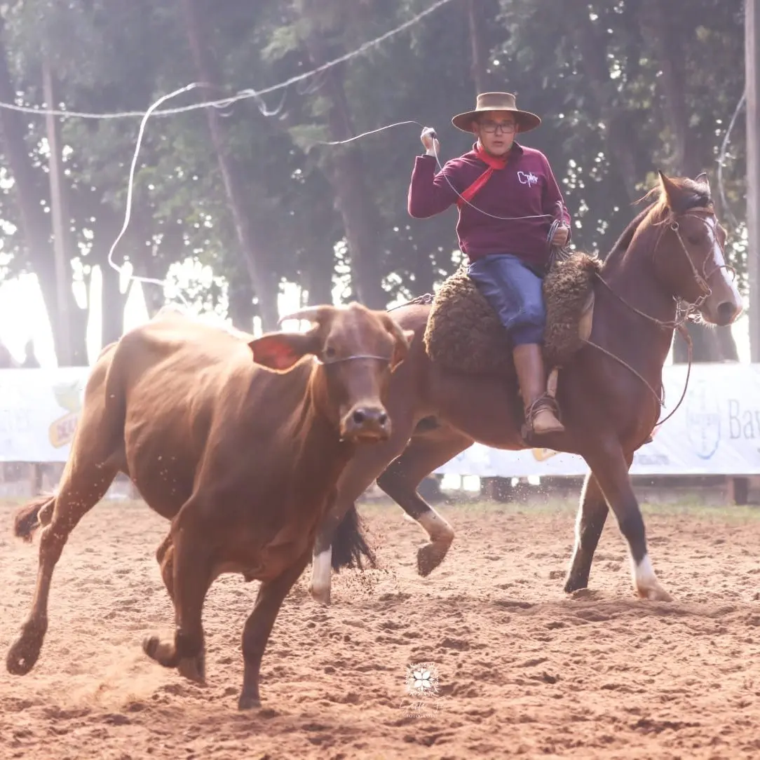 Foto de perfil de Bernardo Ribeiro Lemes