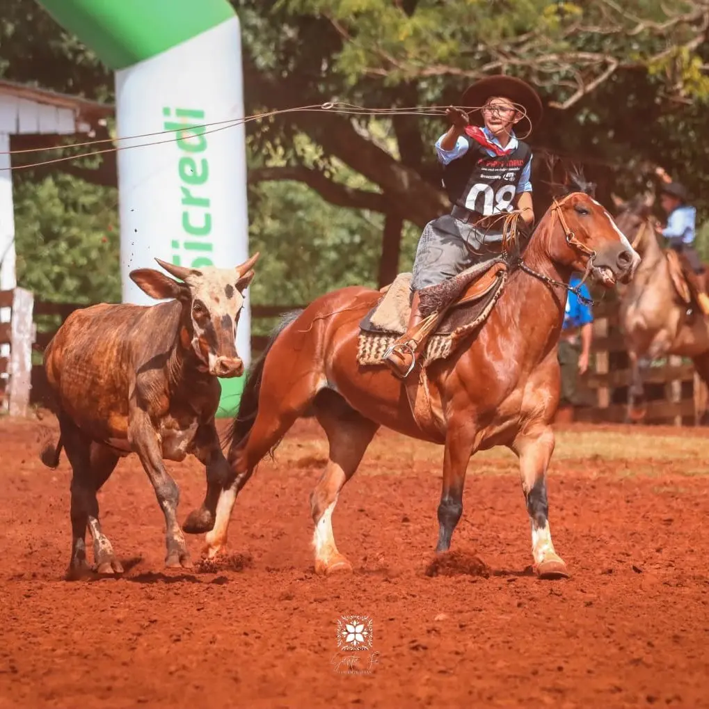 Foto de perfil de Gustavo Ribeiro Lemes