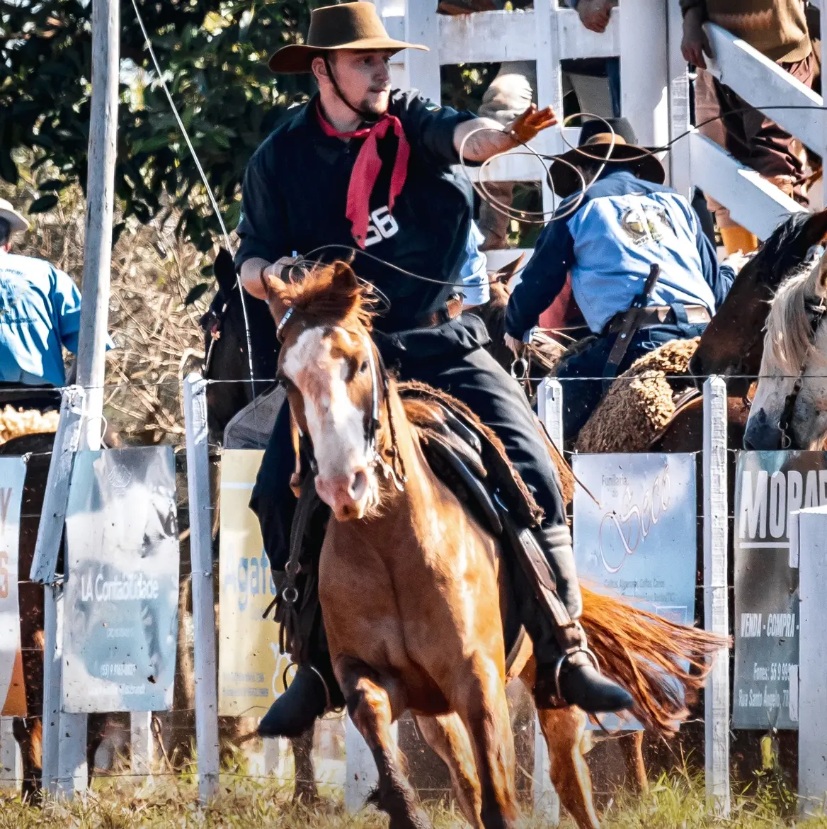 Foto de perfil de Pedro cantini