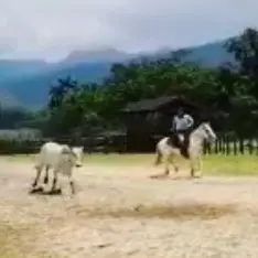 Foto de perfil de Ronaldo Pasqualotto