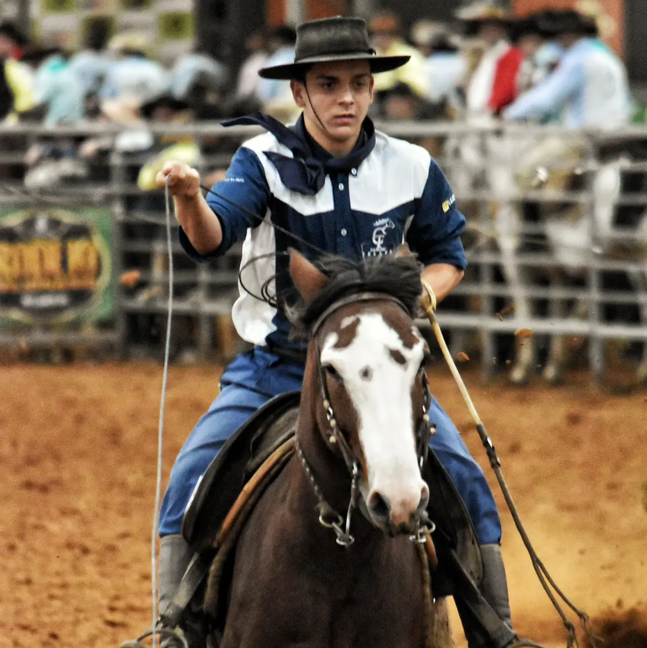 Foto de perfil de Gustavo Nofre